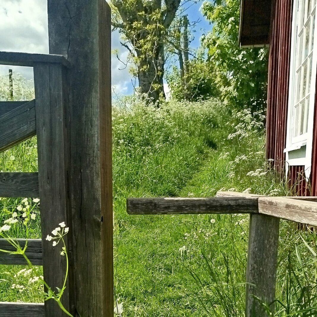 Djursdalarundan vandring nära Snokebo under våren, med grönska och blommande växter