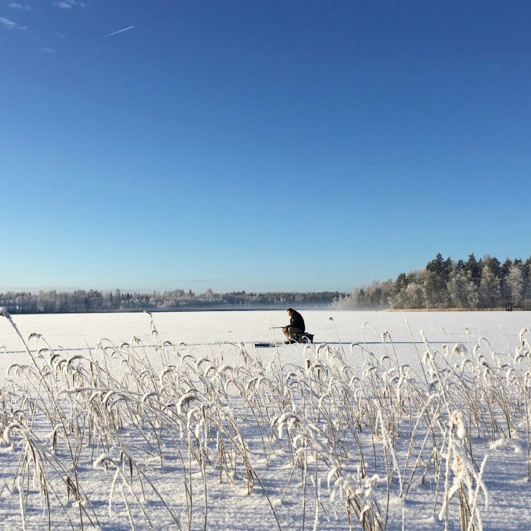 Vinterlandskap vid sjön nära Snokebo Gård med snö och frusna växter i förgrunden