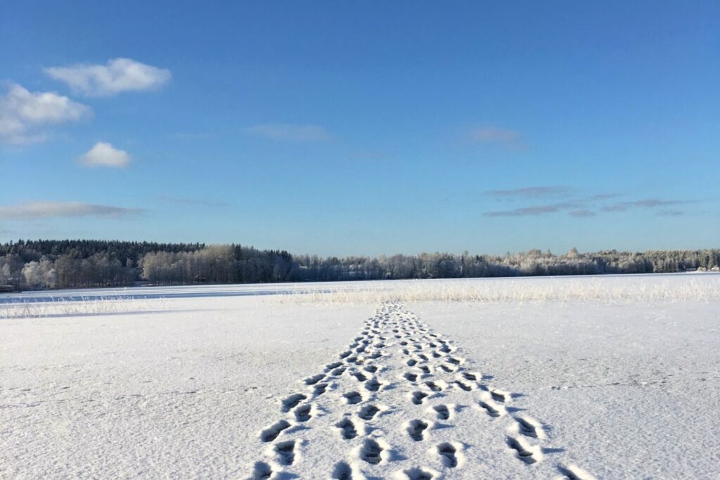 Spår i snön genom ett öppet fält i vinterljus