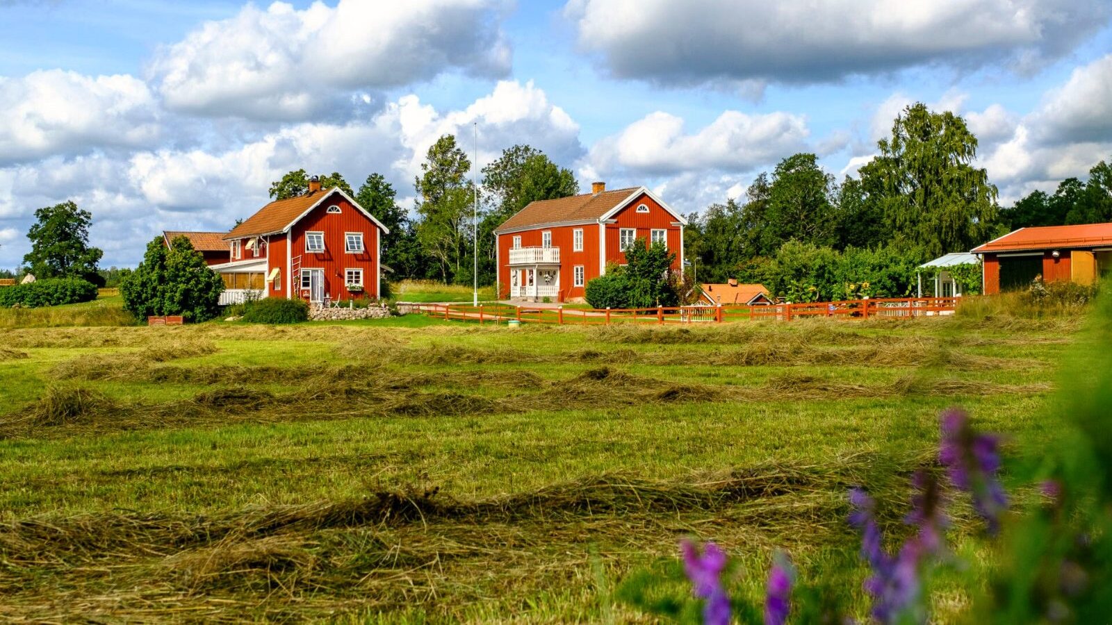 Snokebo Gård med röda hus och öppna ängar i Småland